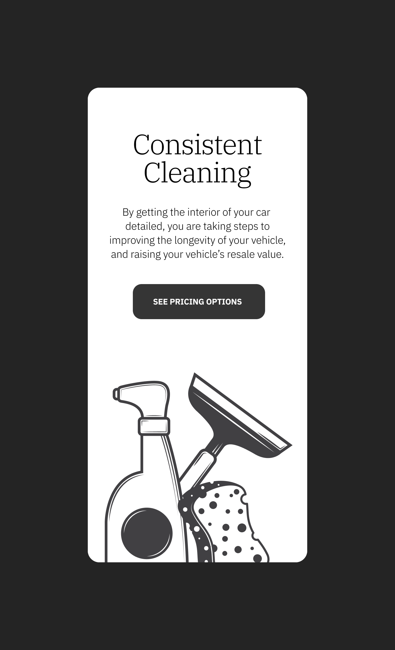 large_cleaning_services